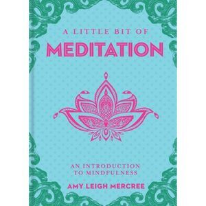 A Little Bit of Meditation: an introduction to mindfulness by Amy Leigh Mercree
